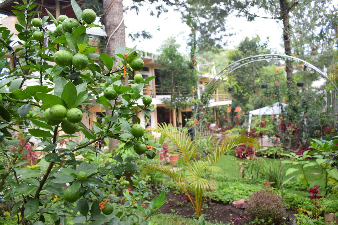 Pescador Hotel Ph Santiago Atitlán Eksteriør bilde